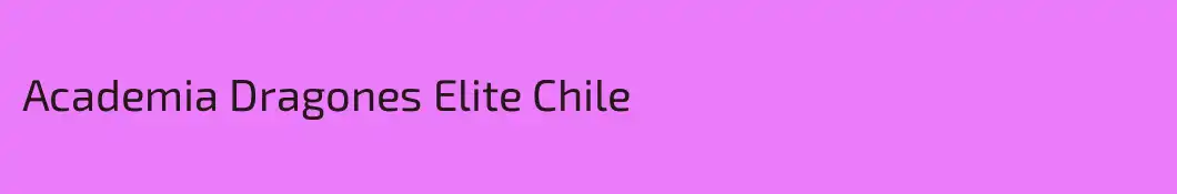 Academia Dragones Elite Chile